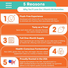 Back view of Kindnature Vitamin B3 Niacin Gummies bottle label