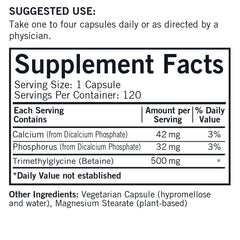 Front view of Kirkman TMG 500 mg bottle – 120-count