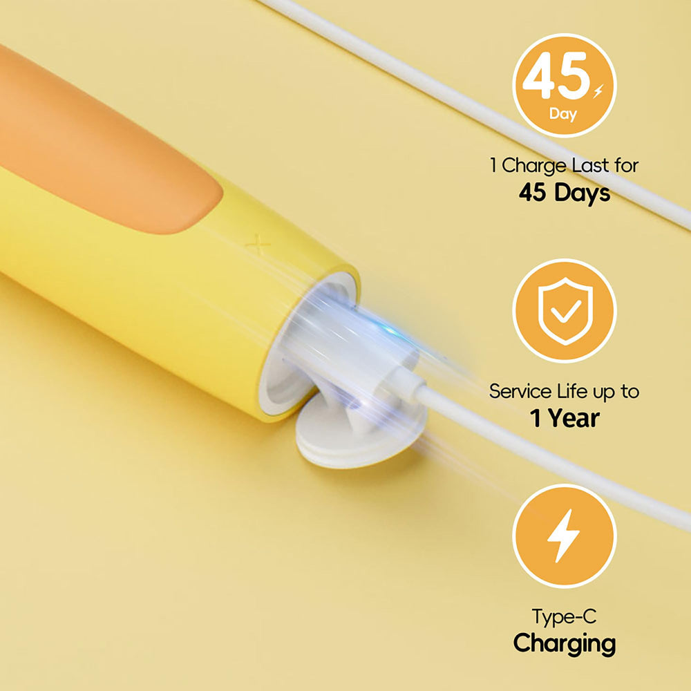 KIWIBIRD toothbrush showing 4 brushing modes on display