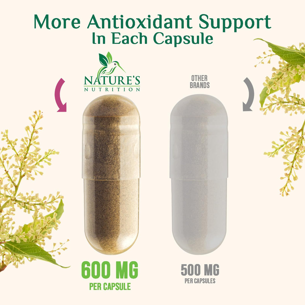 Japanese knotweed extract for resveratrol