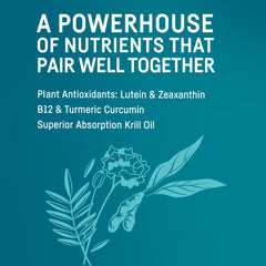 Turmeric curcumin and B12 supplement imagery accompanying Kori Omega-3 Oil