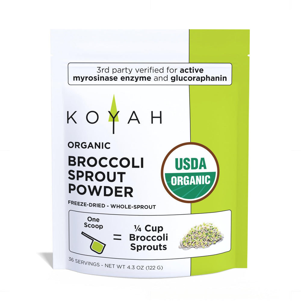 KOYAH Organic USA broccoli sprout powder 1 scoop serving