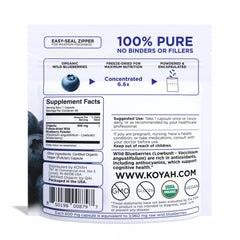 Close-up of freeze-dried Organic Wild Blueberry powder