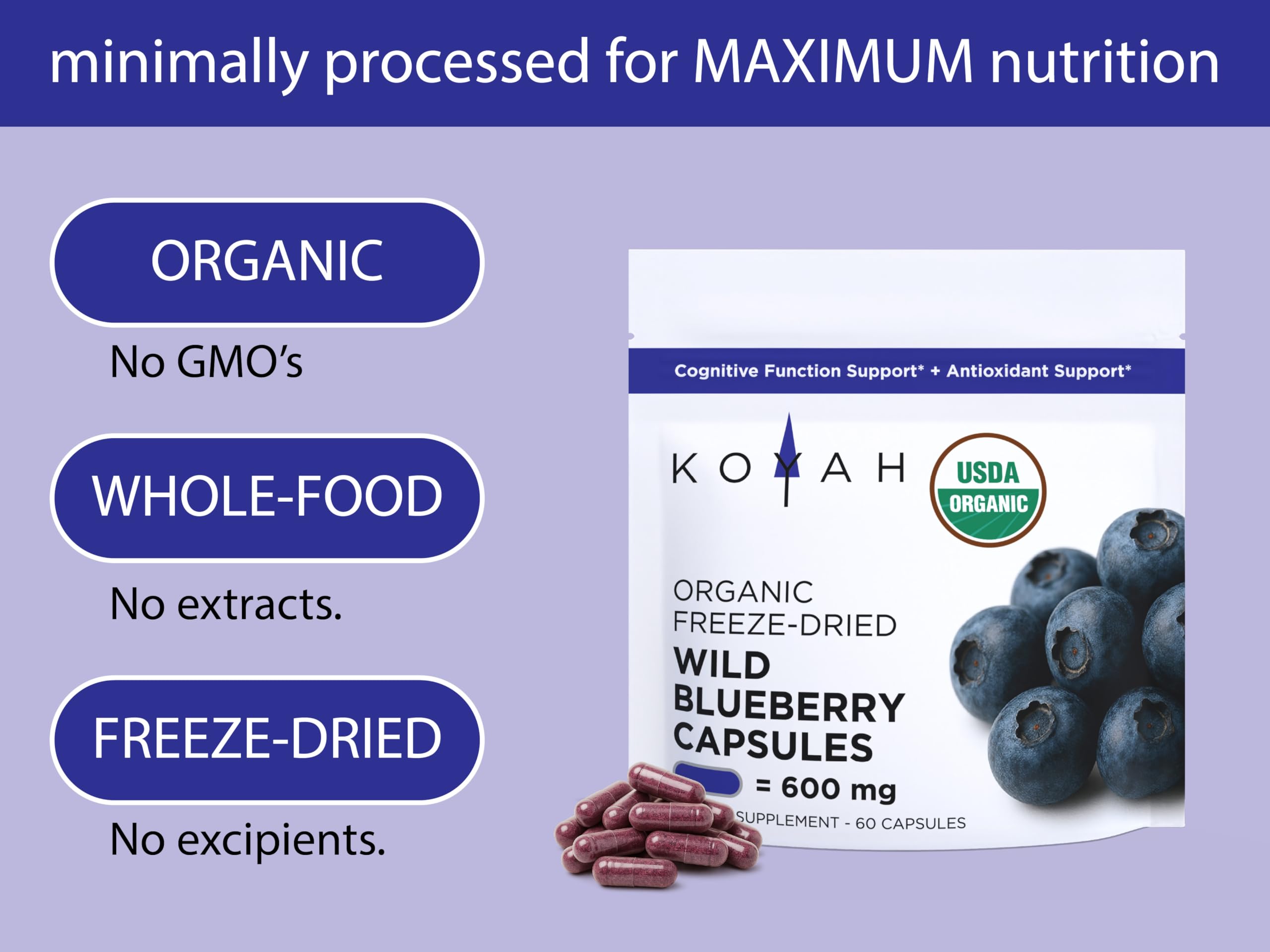 Lowbush blueberries Vaccinium angustifolium berries