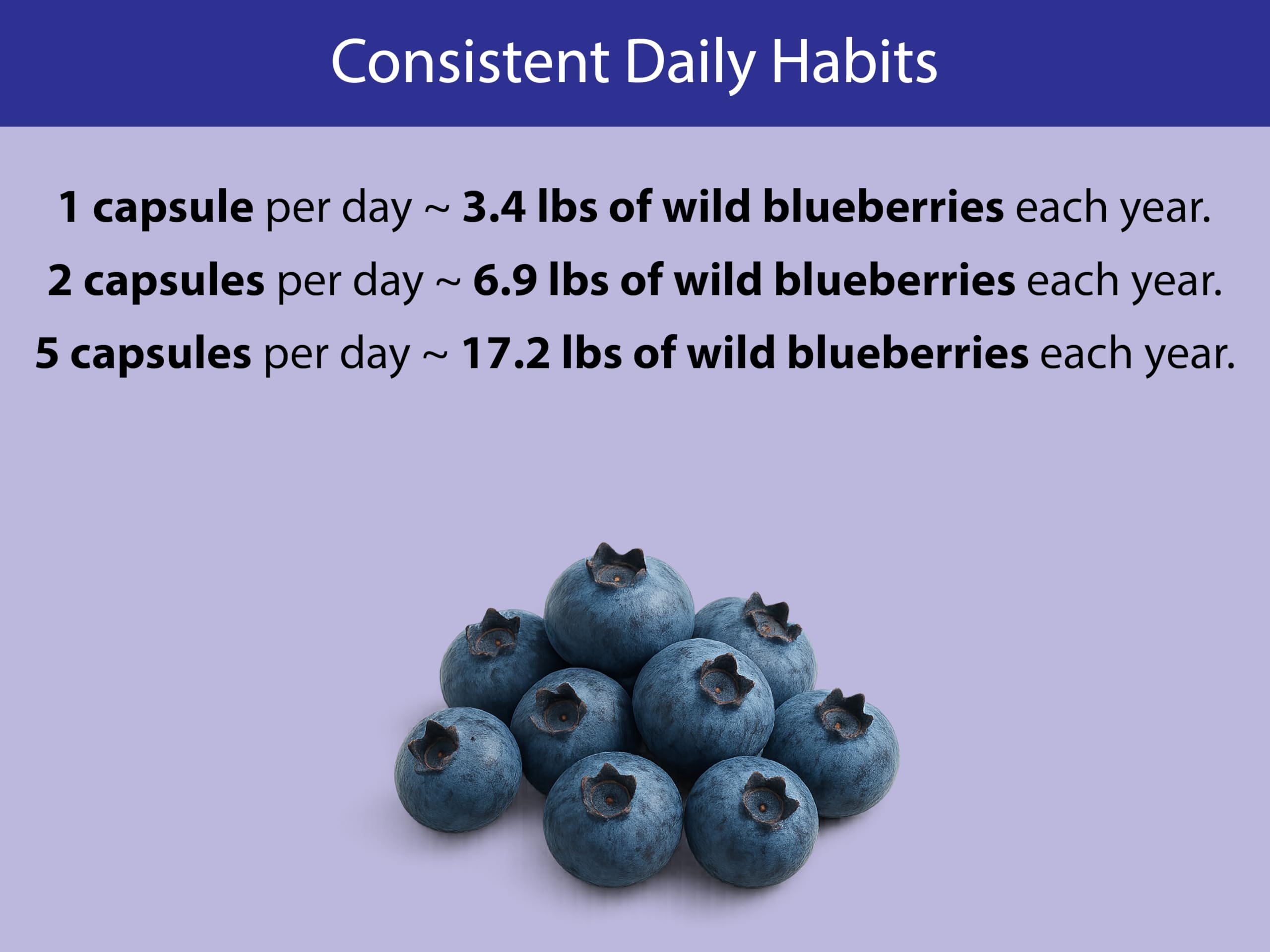 Harvest to capsule process: blueberries washed, frozen, freeze-dried
