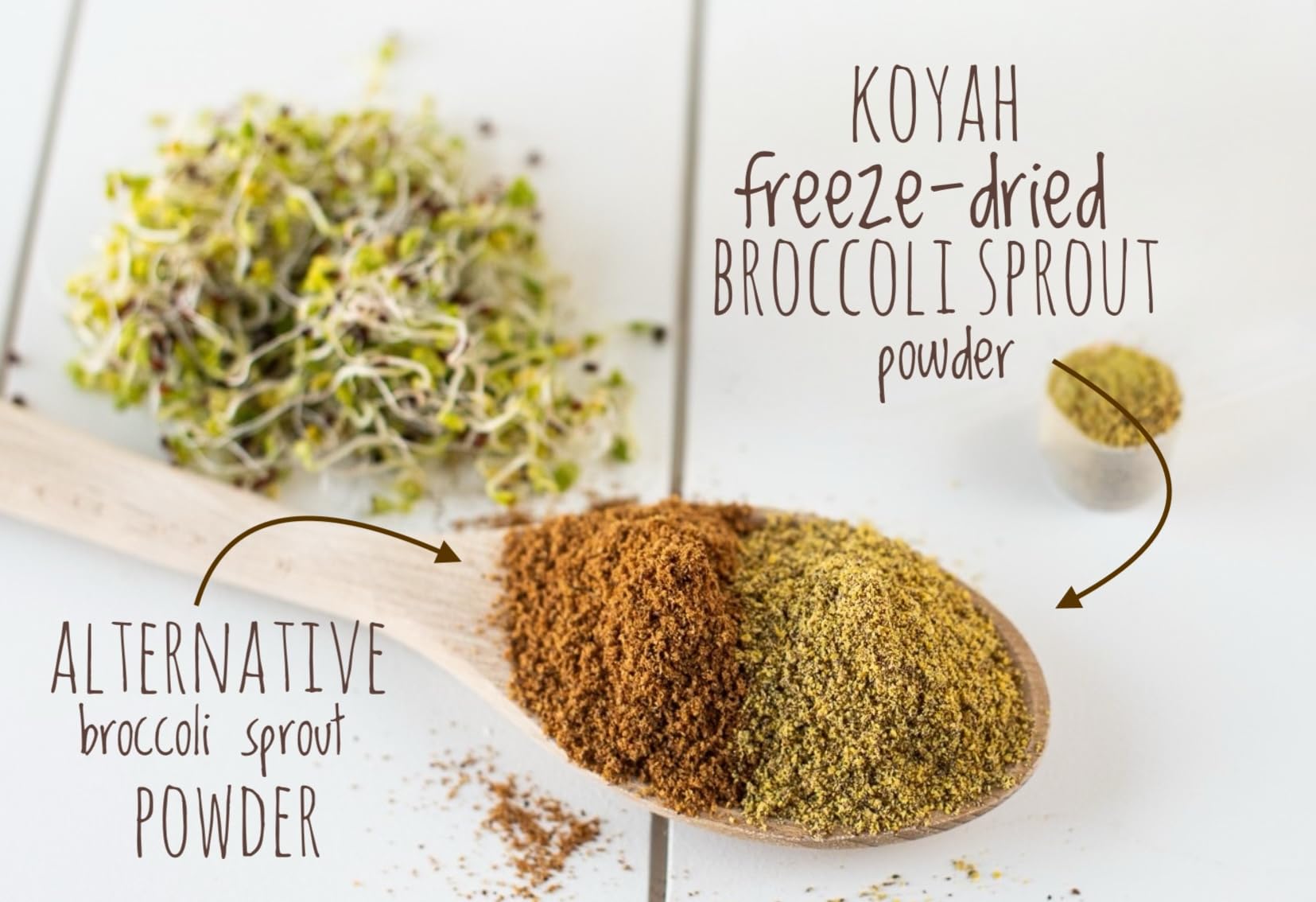 Close-up of freeze-dried broccoli sprout powder texture