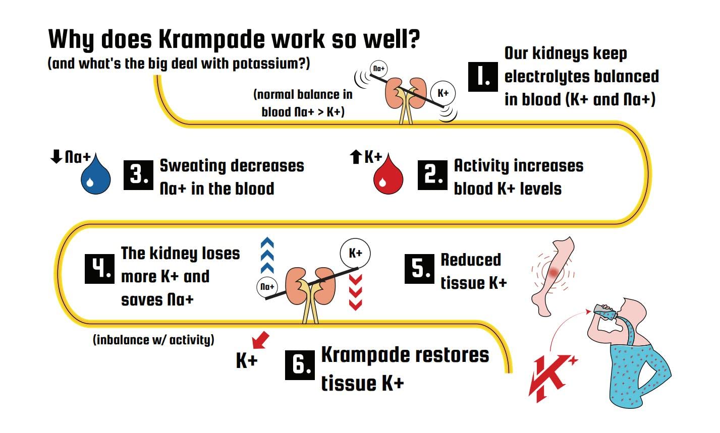Back panel of Krampade 19-serving pouch showing nutrition information