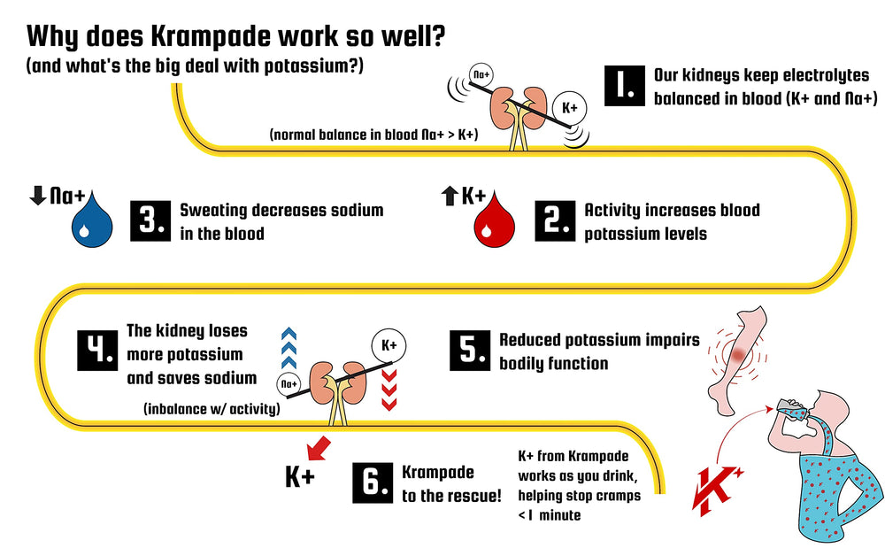 Lifestyle workout scene featuring Krampade Electrolytes Powder