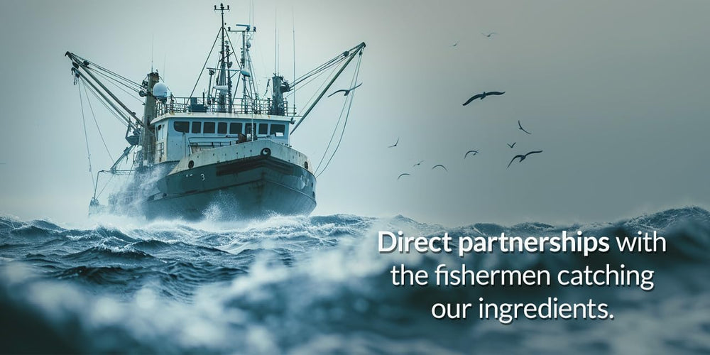 Skin health and anti-inflammatory benefits