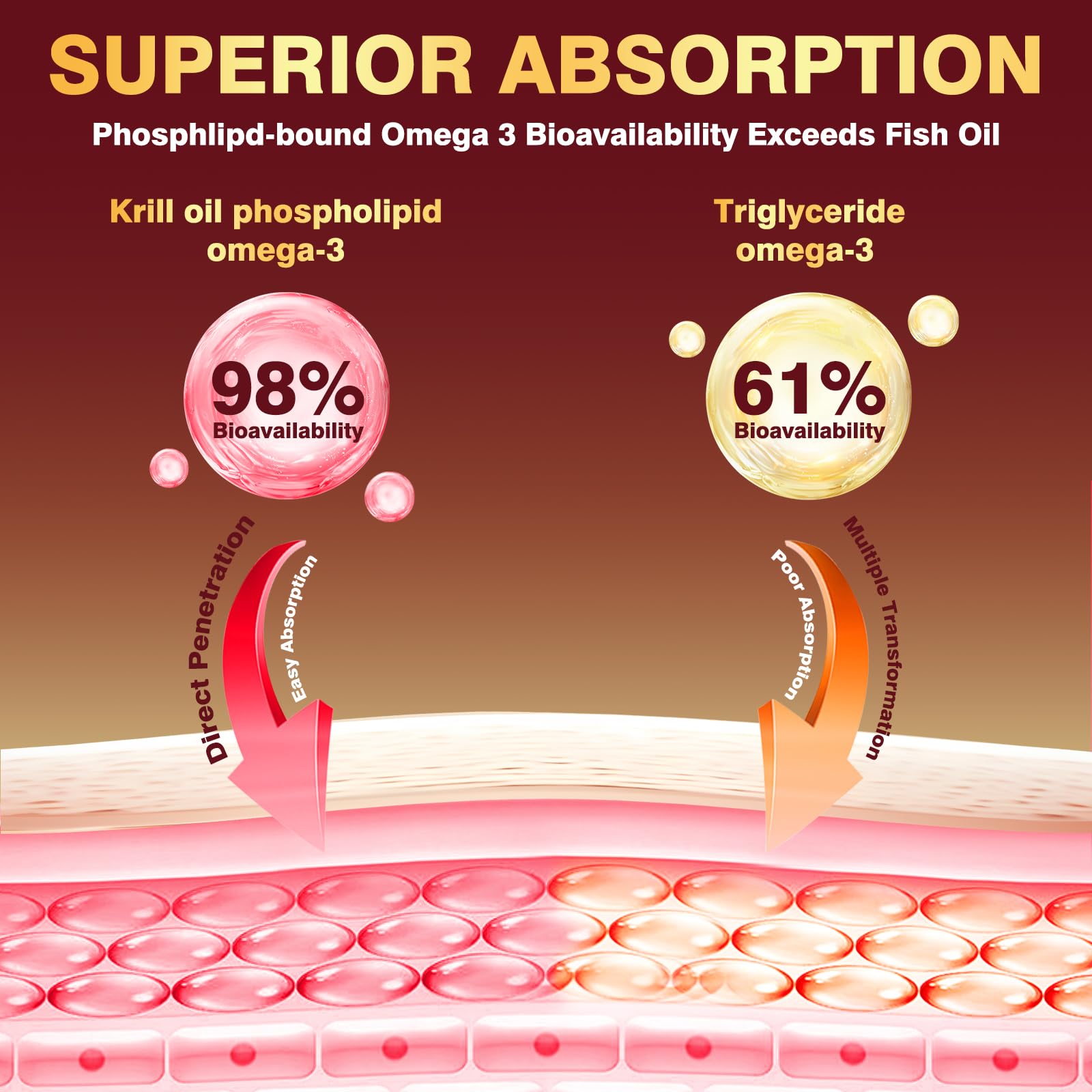 Astaxanthin antioxidant in krill oil