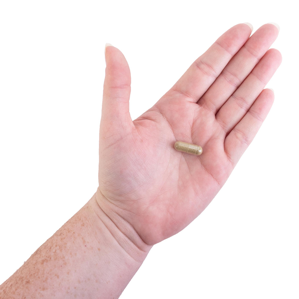 Non-GMO label on Kroeger Candida Formula #2 packaging