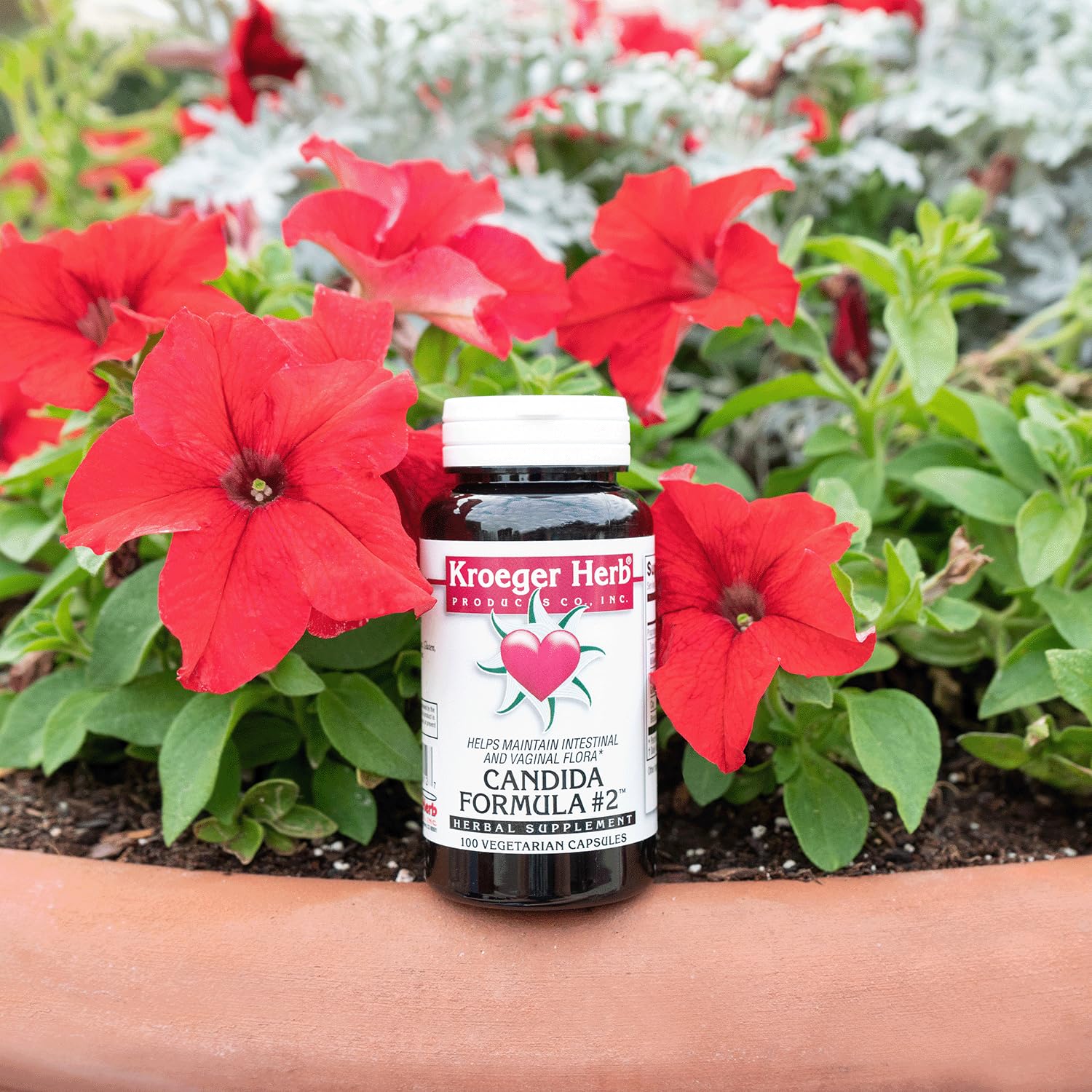 Graphic indicating reduction of Candida overgrowth and improved gut health