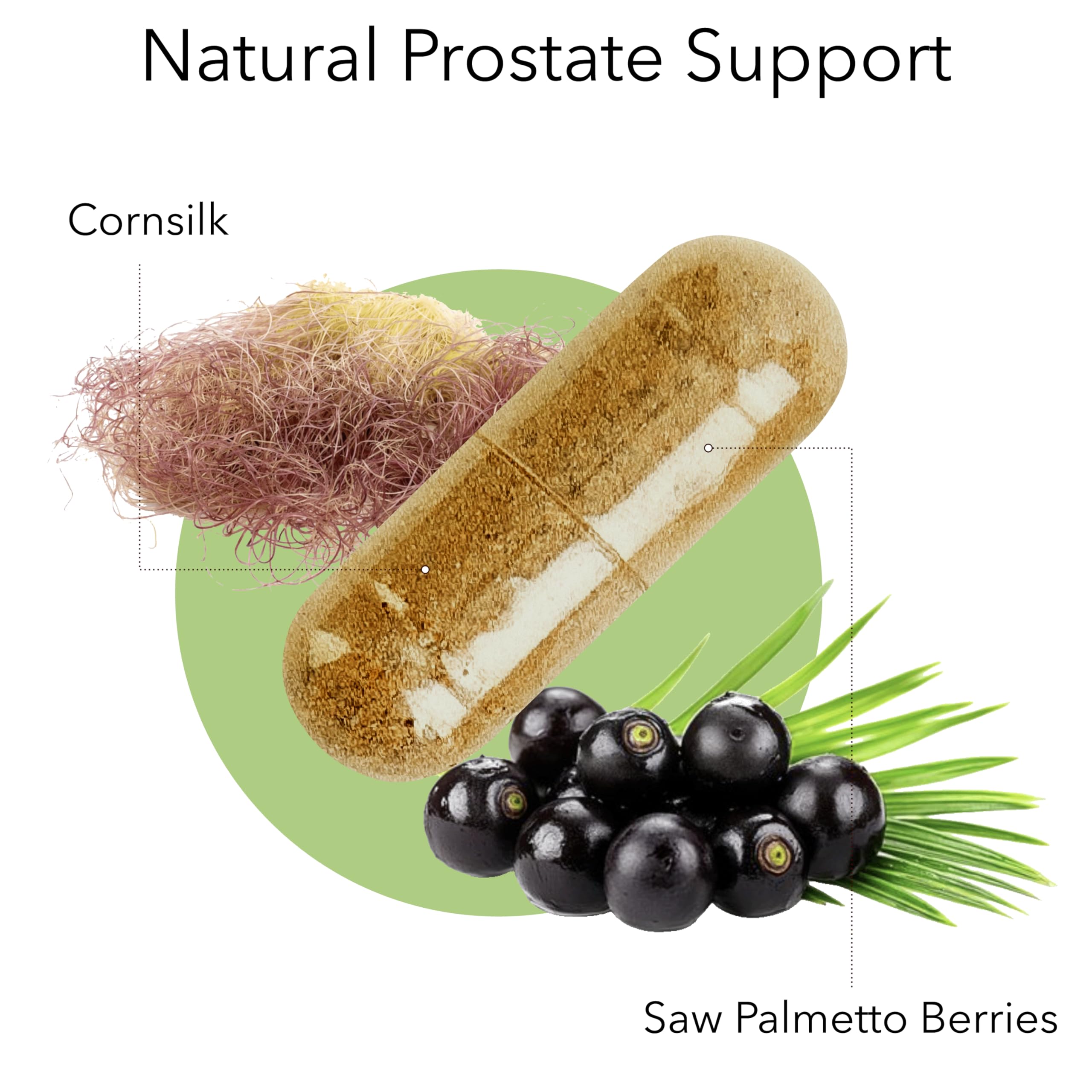 Illustration of Saw Palmetto berries used for prostate support