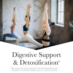 Close-up of Wormwood Detox capsules from the kit