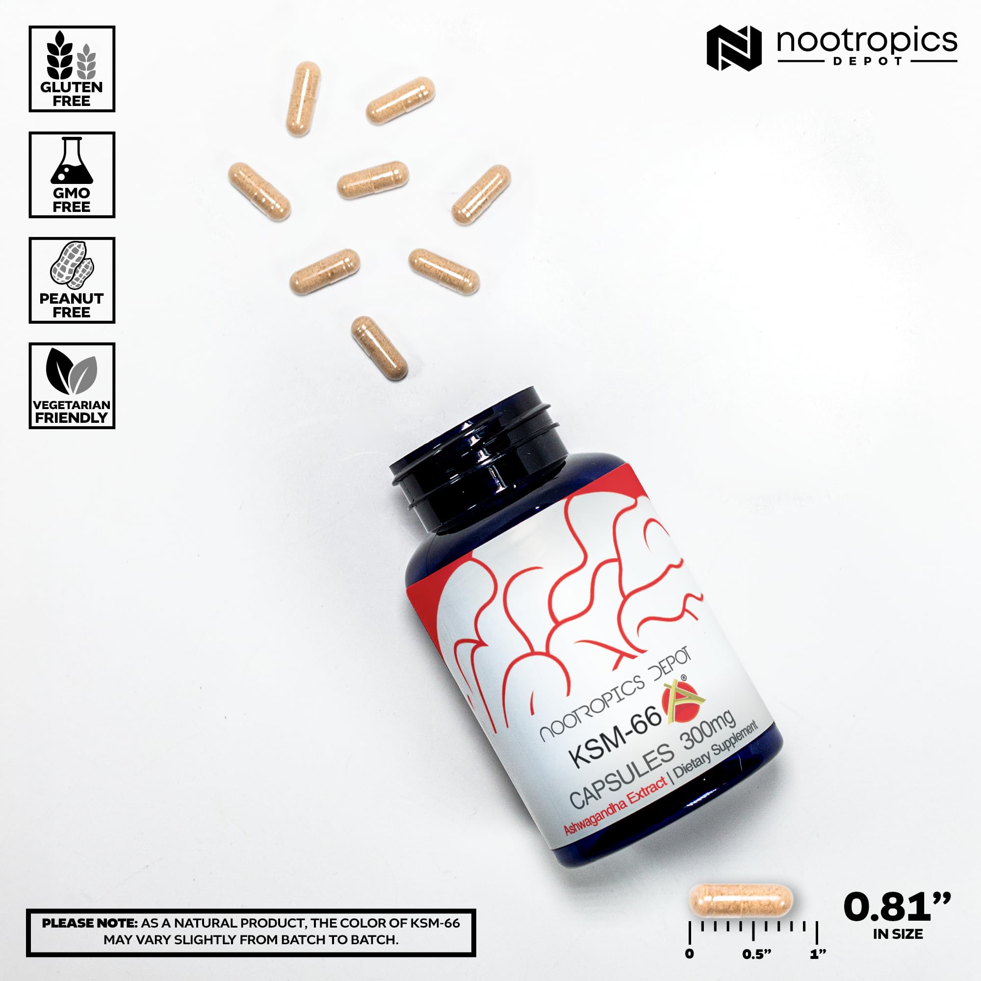 Ashwagandha root extract powder and capsules