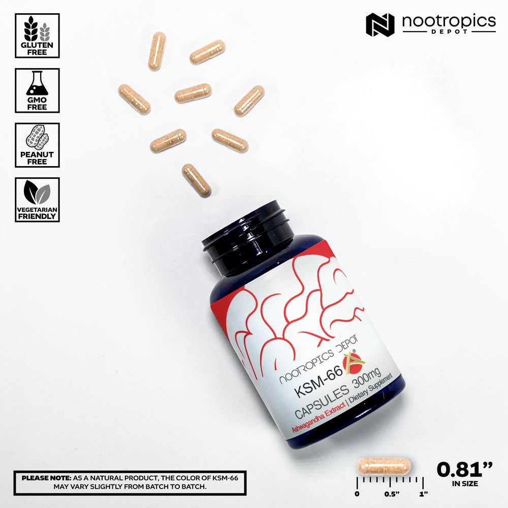 Ashwagandha root extract powder and capsules