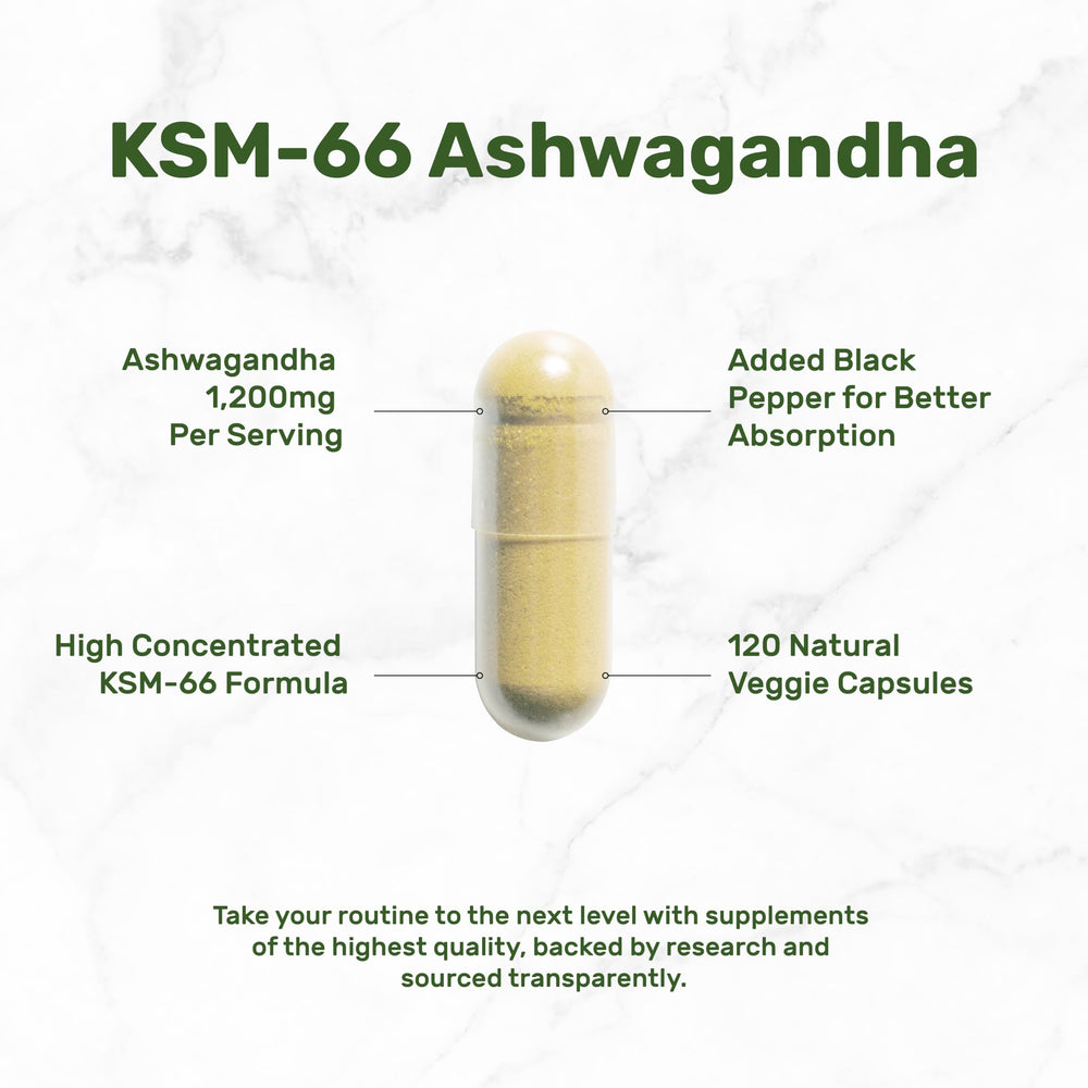 Full-spectrum KSM-66 Ashwagandha root extract close-up