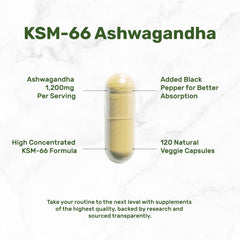 Full-spectrum KSM-66 Ashwagandha root extract close-up