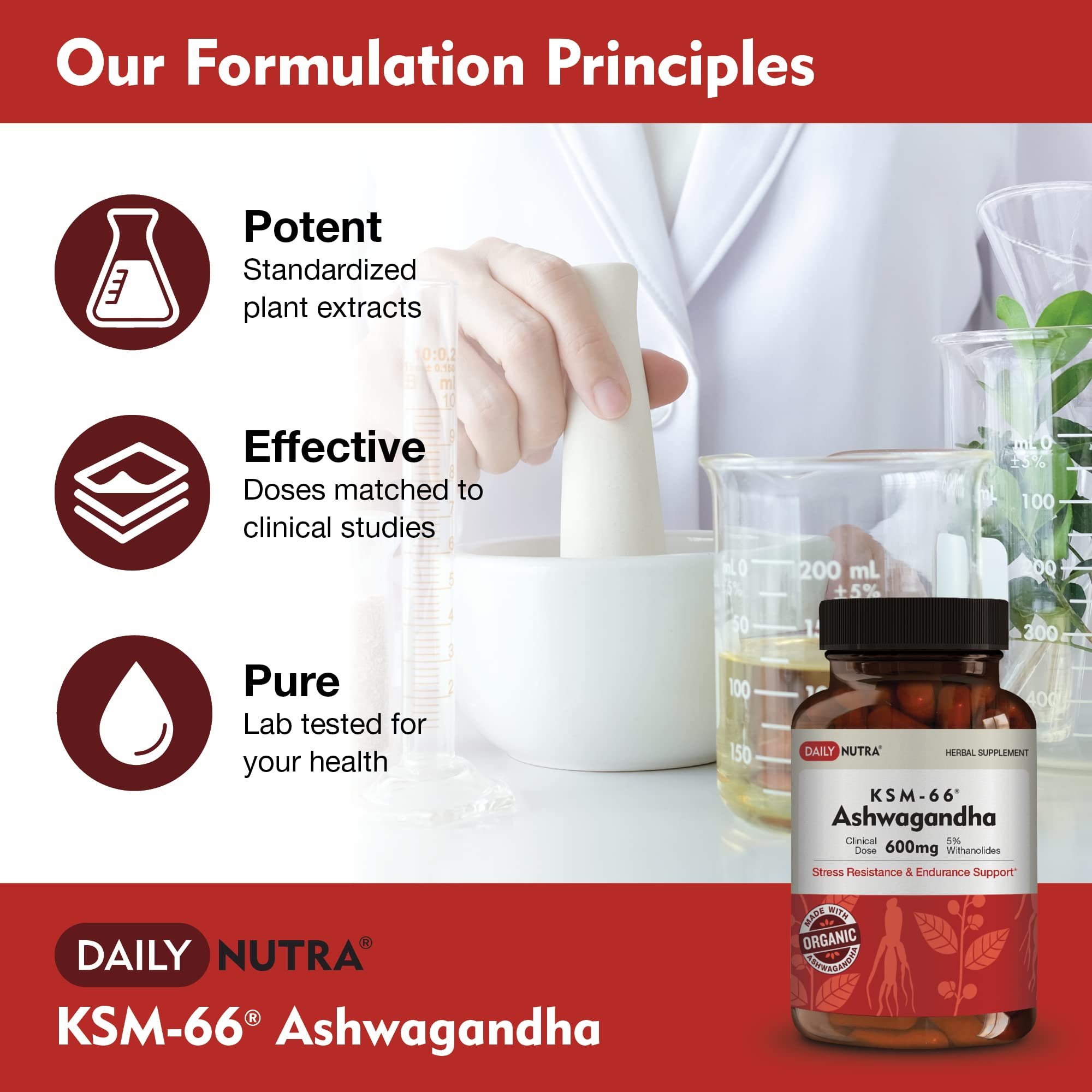Ashwagandha root and bottle for DailyNutra product
