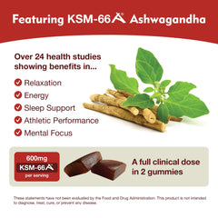 Apple-Berry flavored KSM-66 Ashwagandha Gummies