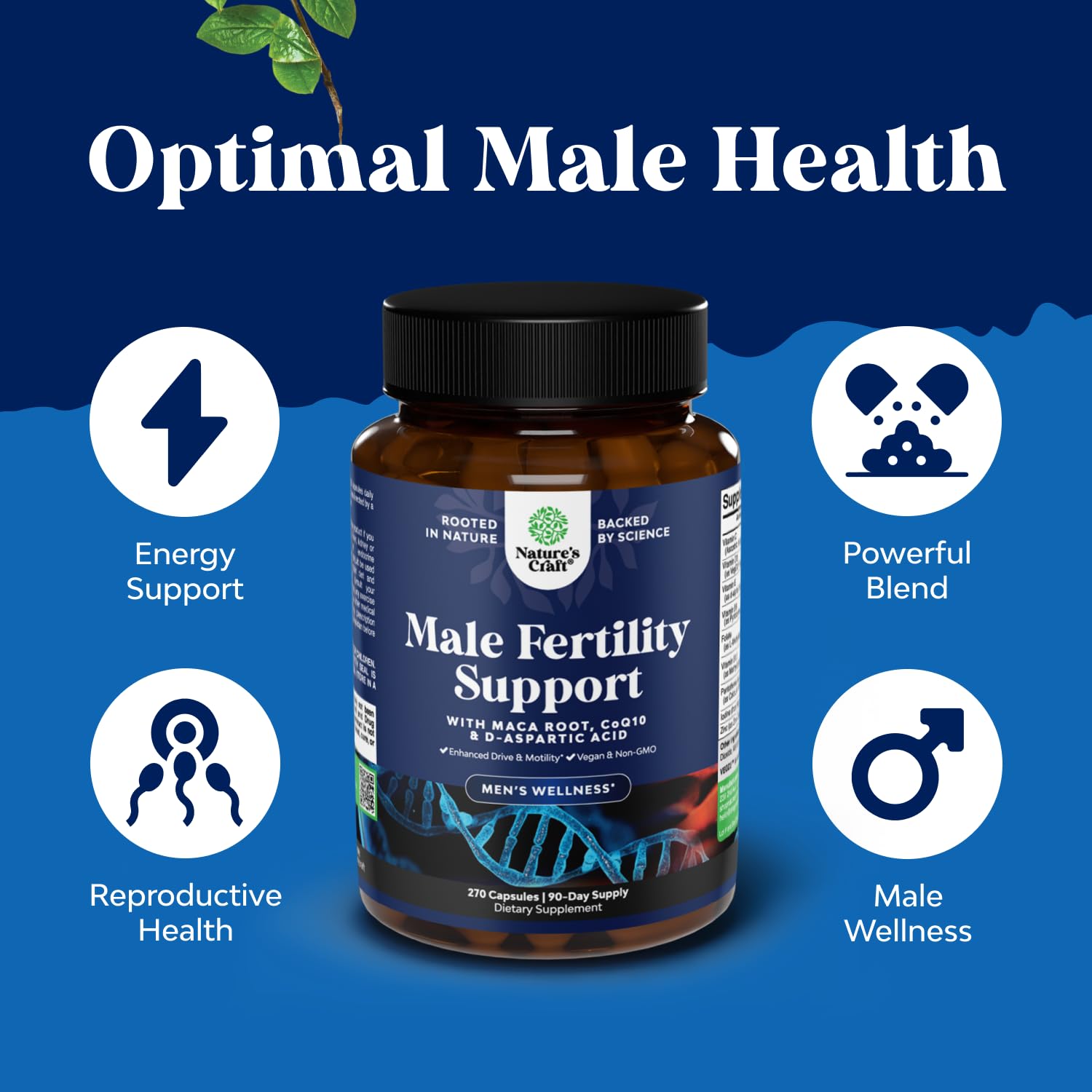 L-Carnitine and D-Aspartic Acid components for male fertility
