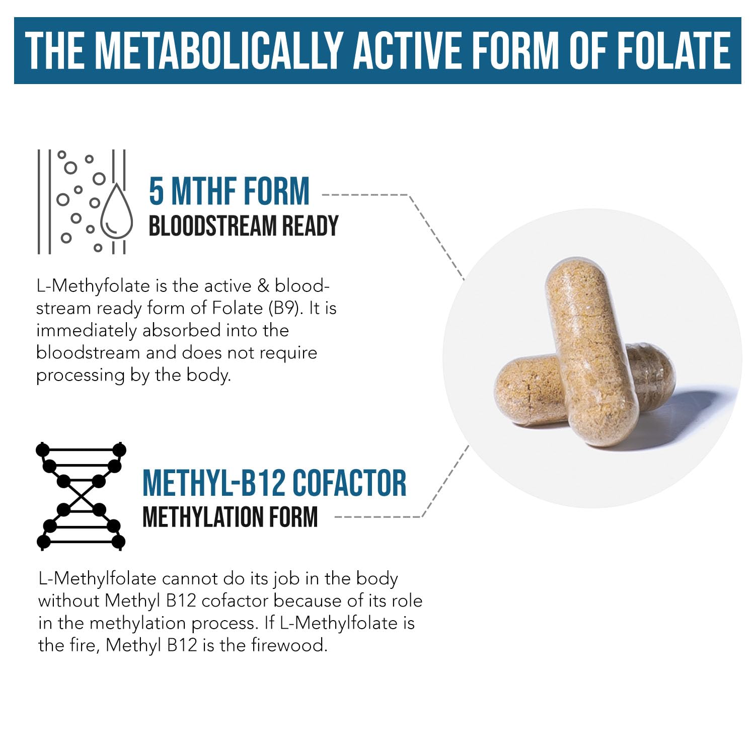 Mood, cognition and energy support icons for L Methylfolate + B12