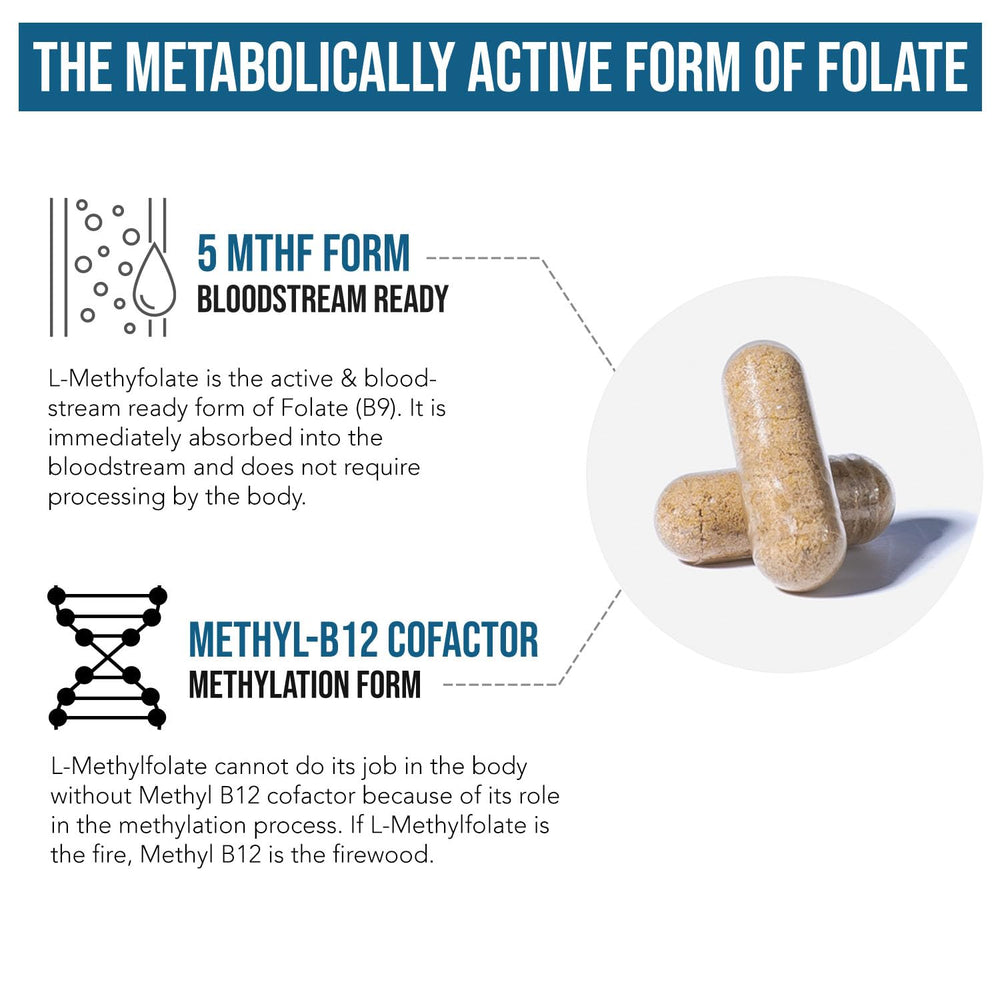 Mood, cognition and energy support icons for L Methylfolate + B12