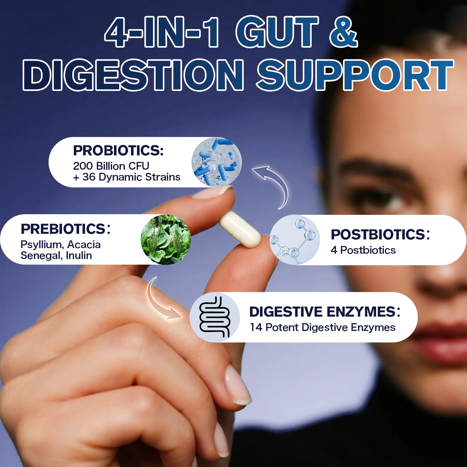 Clinically studied strains L. reuteri and L. fermentum.