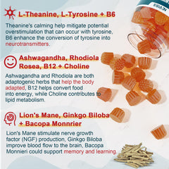 Bottle showing L-Tyrosine, L-Theanine, methylated B12 and B6