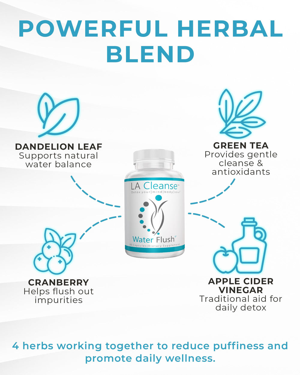 LA Cleanse Water Flush dandelion and green tea ingredients close-up.