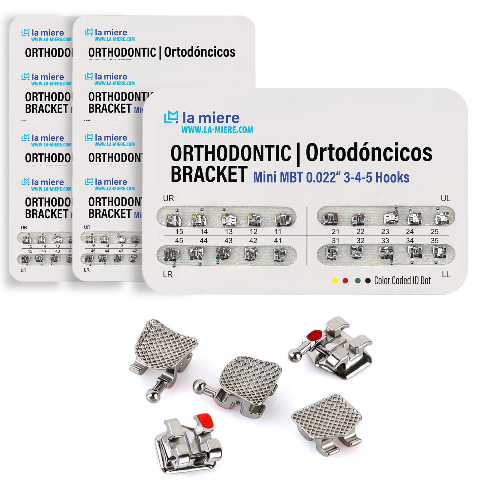 LA MIERE 200PCS teeth model braces typodont brackets close-up