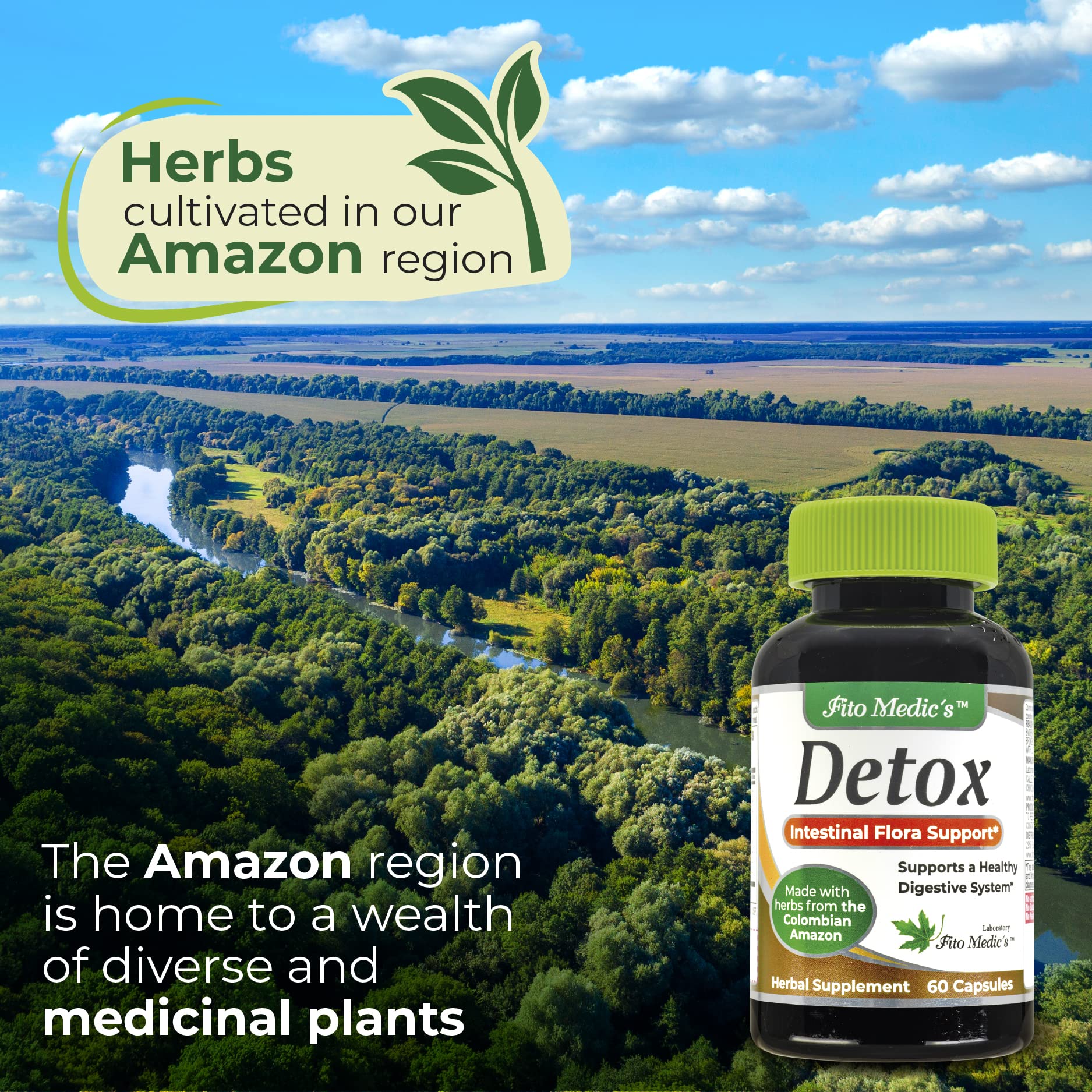 Graphic showing 9 herbs blend and intestinal flora support