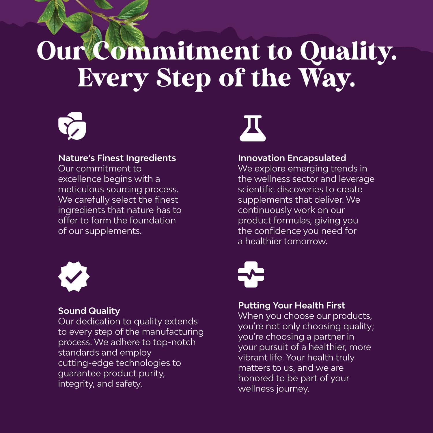 Lab tested iron supplement gummies