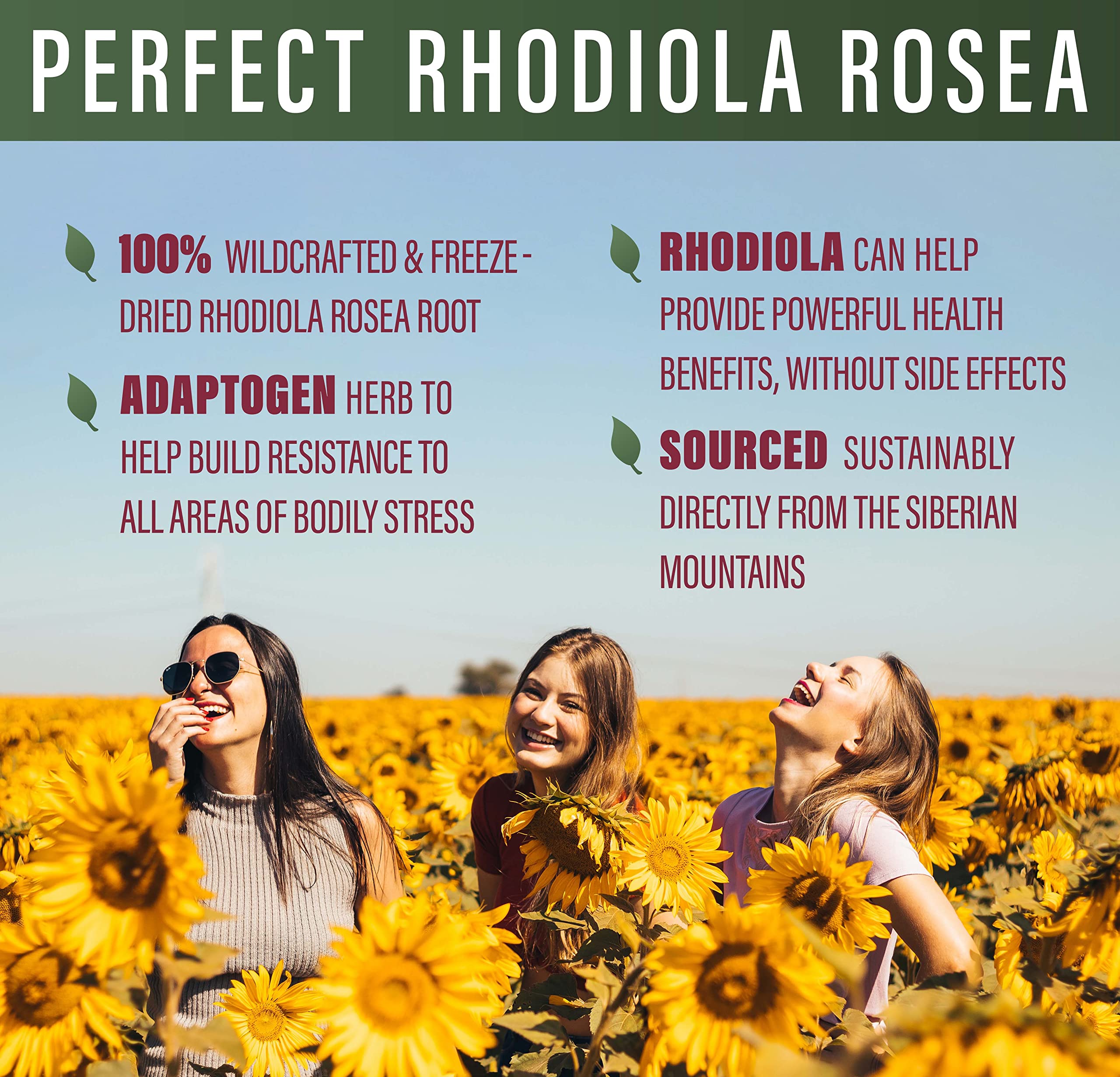 Lab-tested purity seal for Rhodiola Rosea supplement