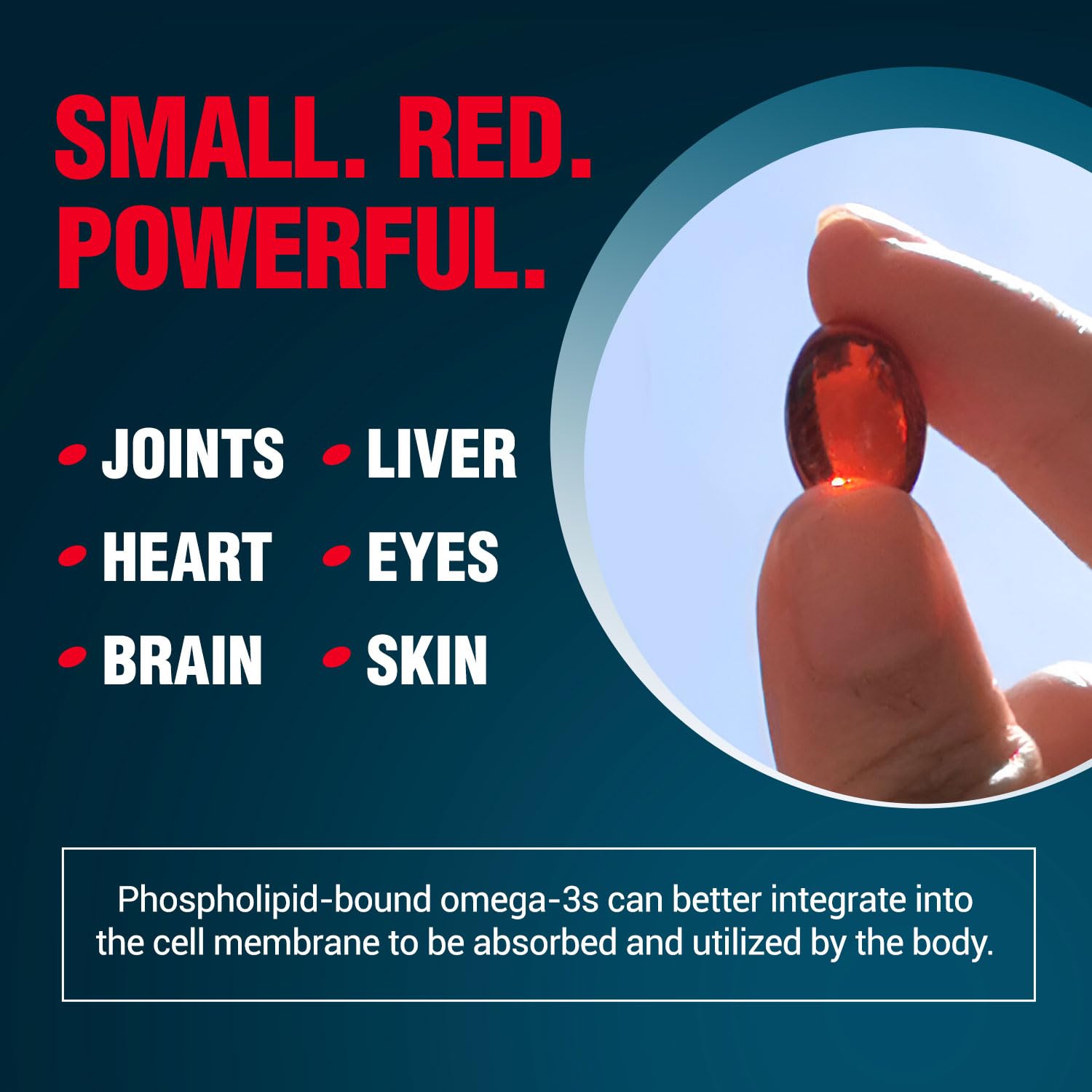 Astaxanthin-rich krill oil capsule