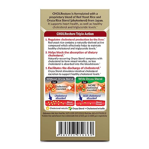 Graphic showing Red Yeast Rice and Oryza Rice sterol phytosterols