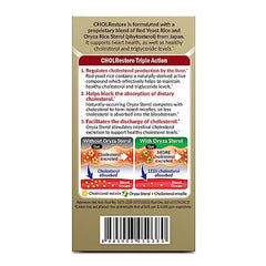 Graphic showing Red Yeast Rice and Oryza Rice sterol phytosterols