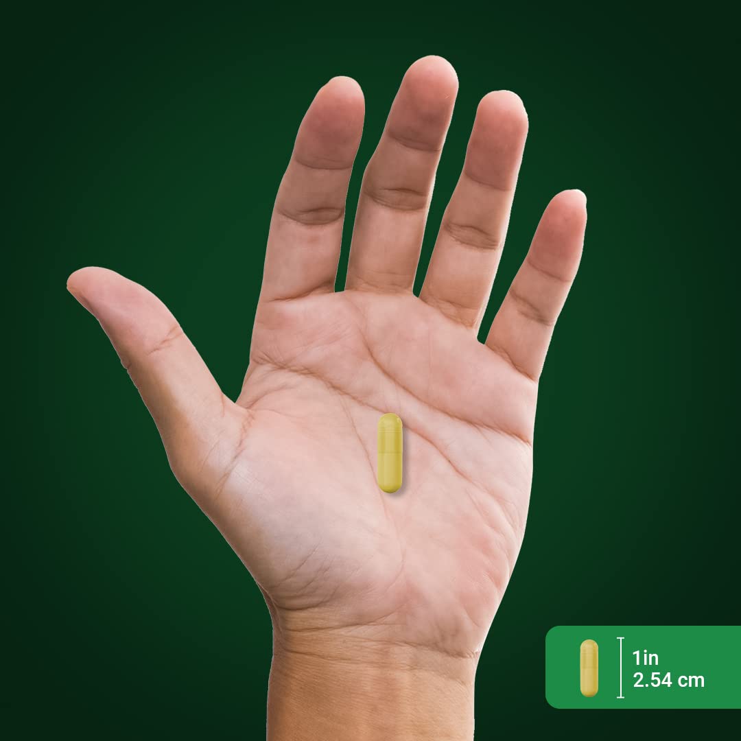 Laboratory tested ingredients close-up