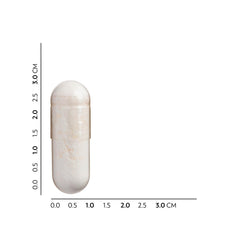 Capsule showing probiotic bacteria for digestion
