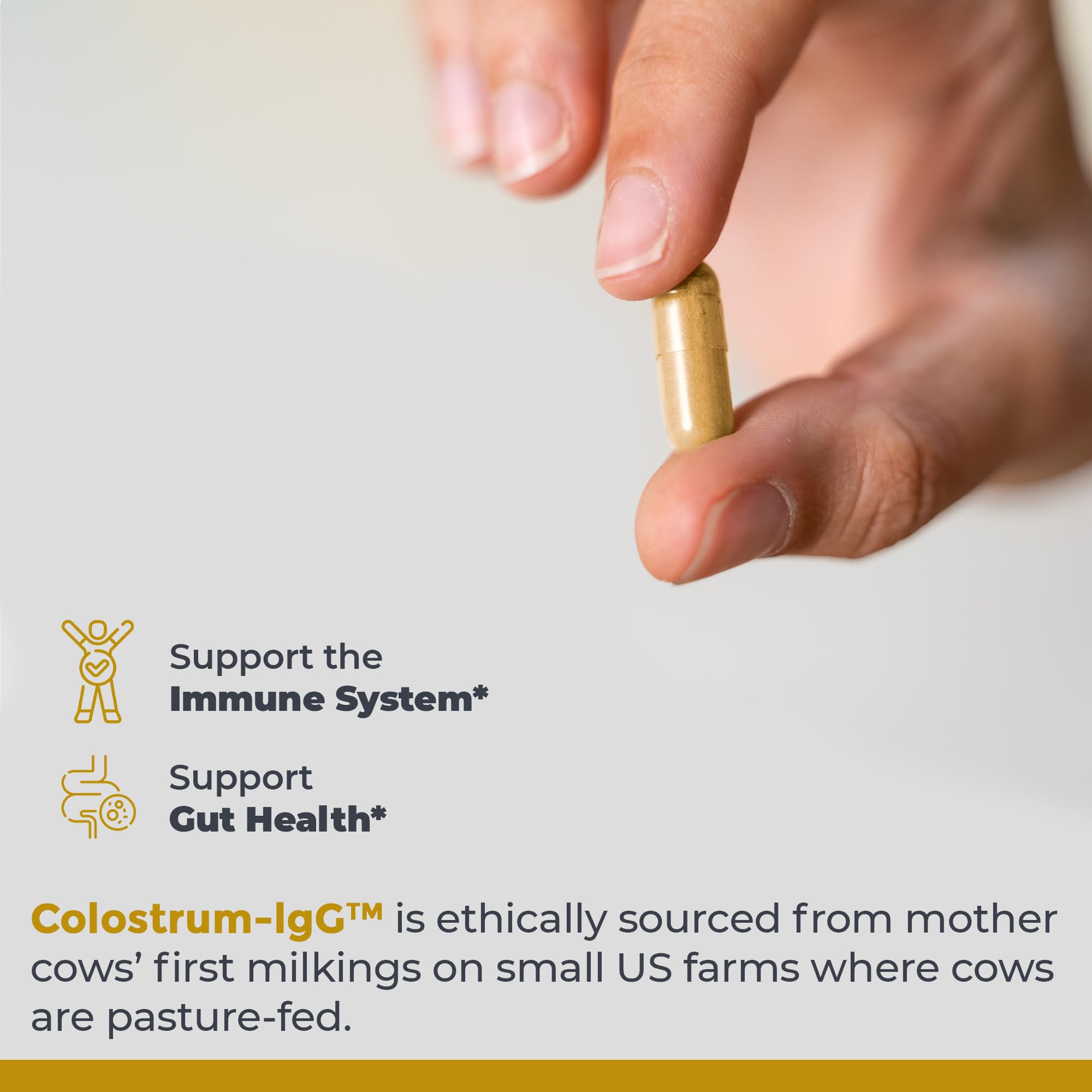 Colostrum ingredients including lactoferrin, amino acids, and nucleotides