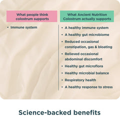 Lactoferrin and immune support illustration