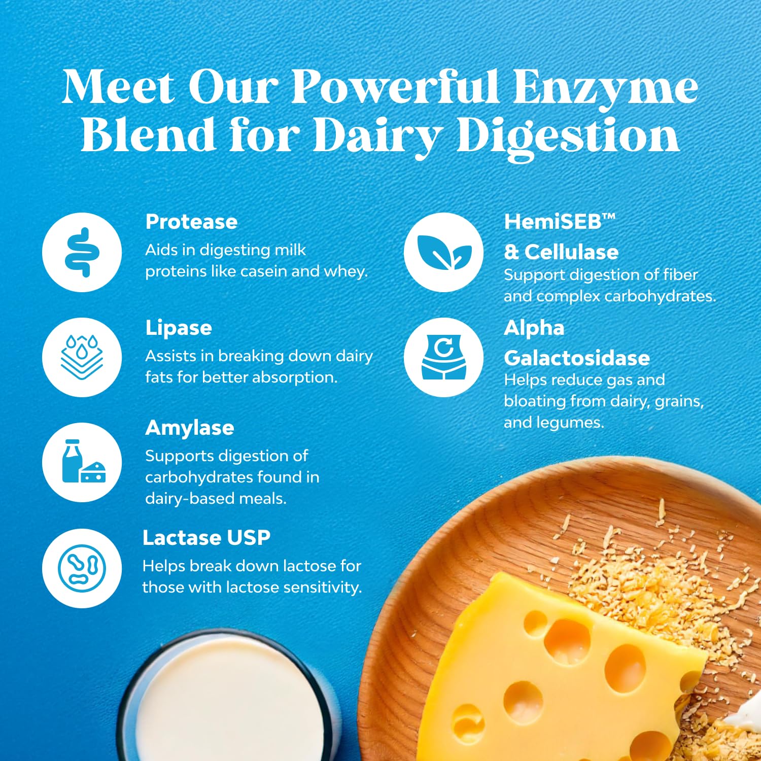 Illustration of six enzymes: Lactase USP, Protease, HemiSEB, Cellulase, Alpha-Galactosidase, Amylase