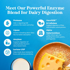 Illustration of six enzymes: Lactase USP, Protease, HemiSEB, Cellulase, Alpha-Galactosidase, Amylase