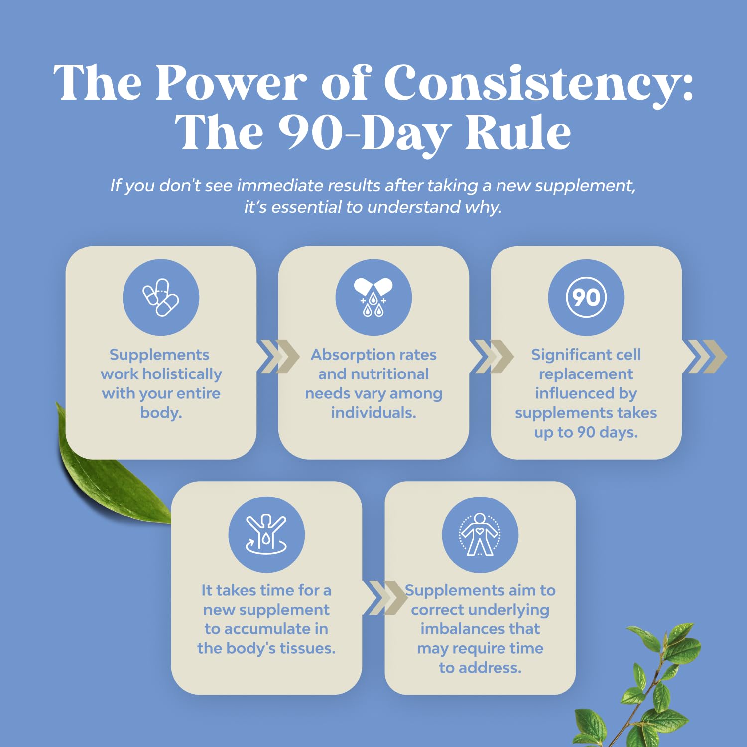 Digestive health supplement for men and women