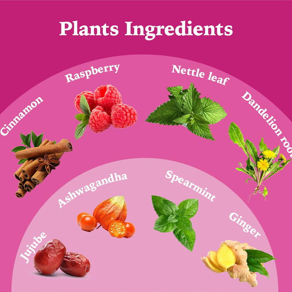 Leafroot PCOS Tea nettle leaf balance highlights gentle support during routine.