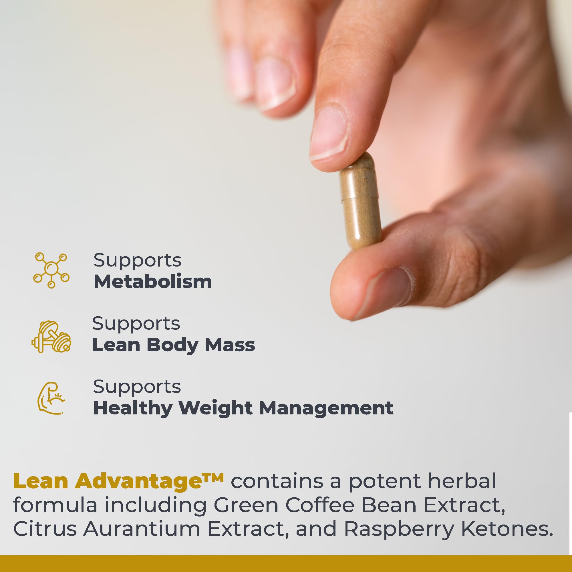 Full-spectrum metabolism support blend including Green Coffee Bean Extract and Citrus Aurantium