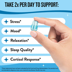 Saffron strands, L-Theanine and magnesium illustration