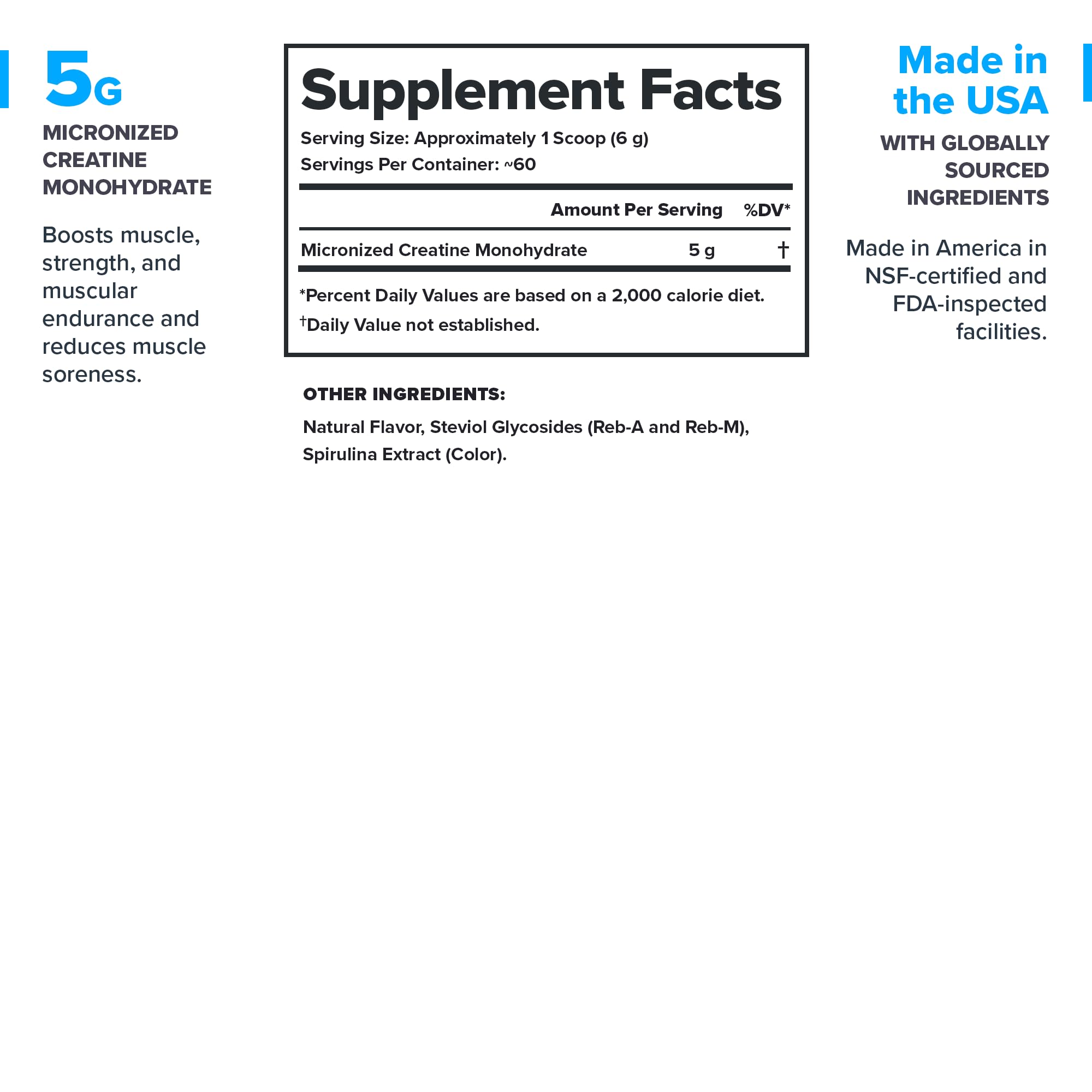 Close-up of micronized creatine powder in scoop