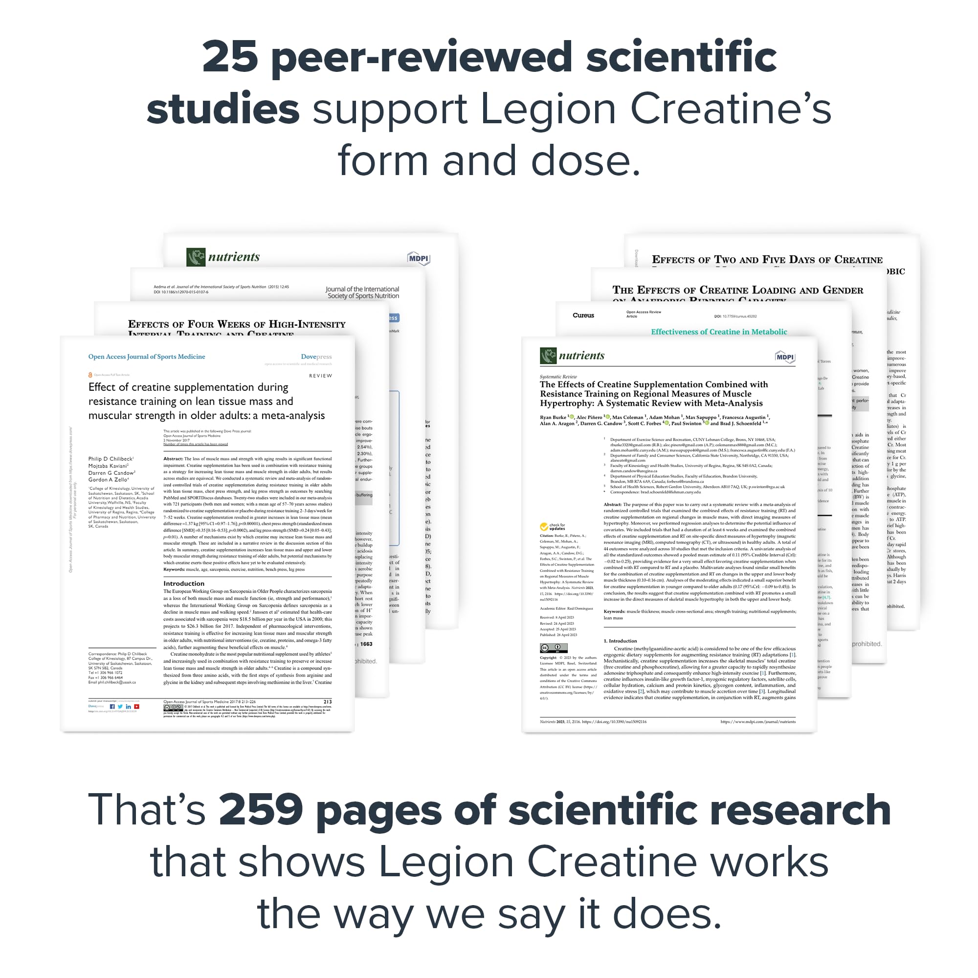 Muscle recovery concept with creatine