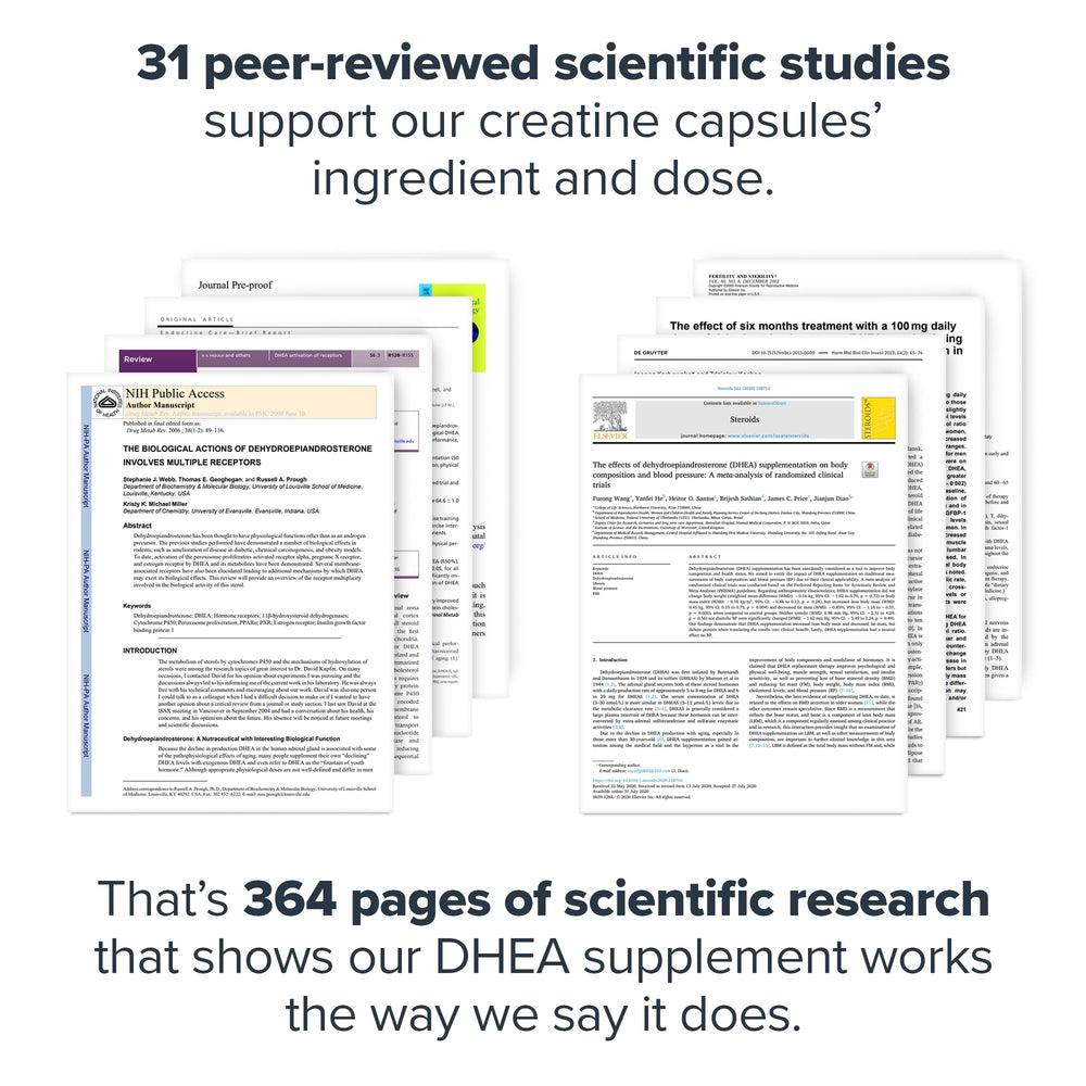 DHEA 50mg ingredient list